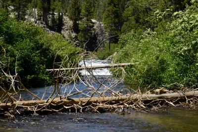 DSC_9910 (Large).JPG